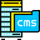 CMS2 CMS2